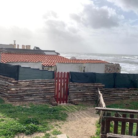 Anzio A Picco Sul Mare! Lägenhet Exteriör bild